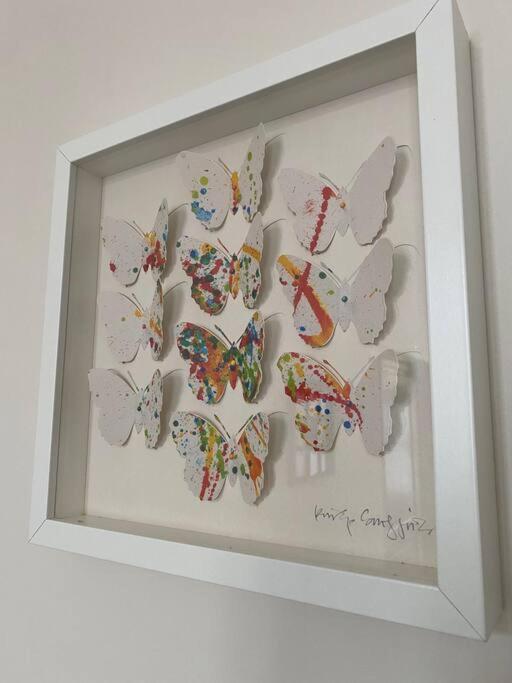 Studio Papillon En Plein Coeur De Ville Saint-Omer  Ngoại thất bức ảnh
